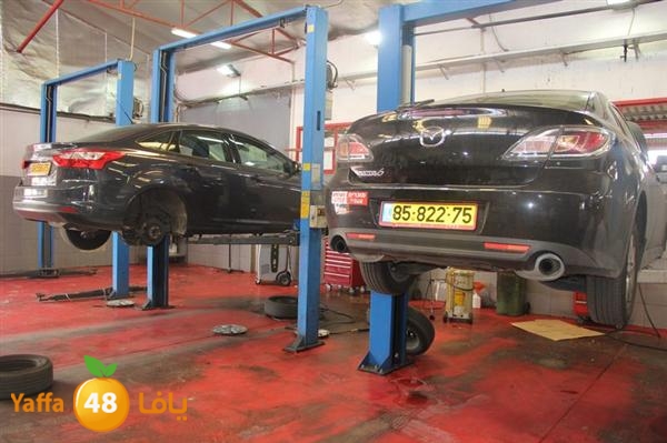 avis lud 0524 (3).JPG